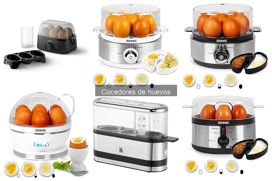 Alternativas a cocedores de huevos: métodos eficaces