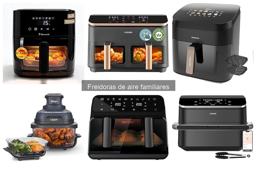 Alternativas a las Freidoras de Aire para Cocinar Sin Aceite