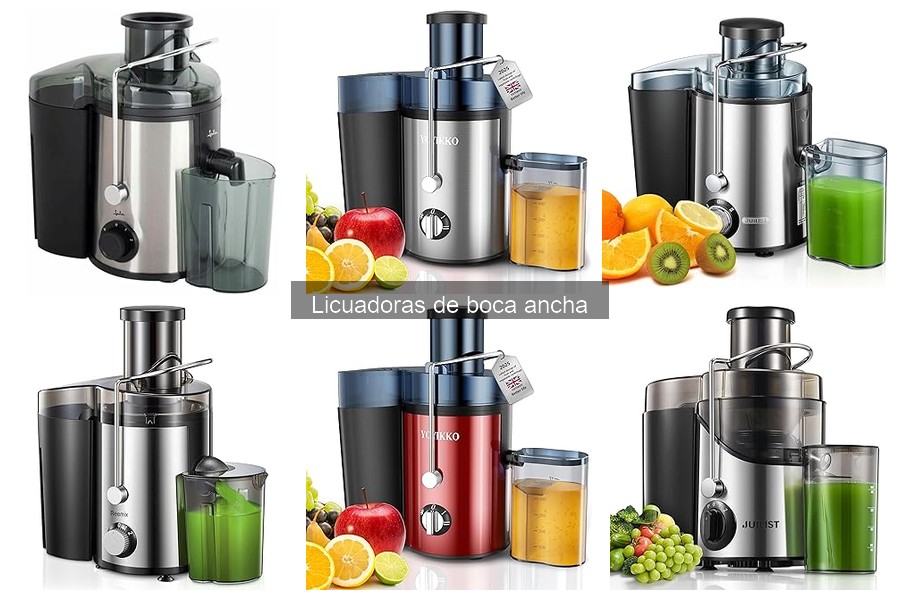 Alternativas a licuadoras de boca ancha para smoothies