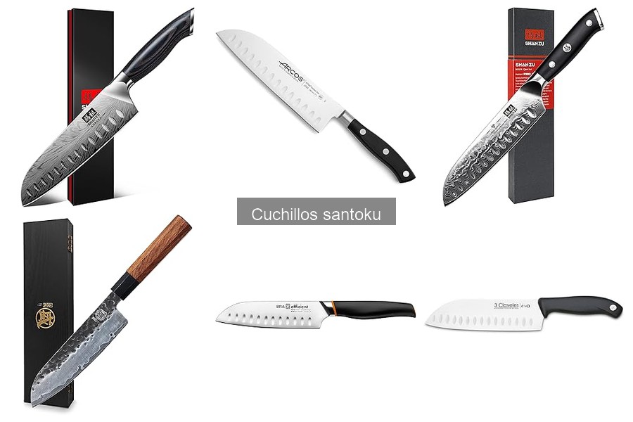 Alternativas al cuchillo santoku: opciones para ti