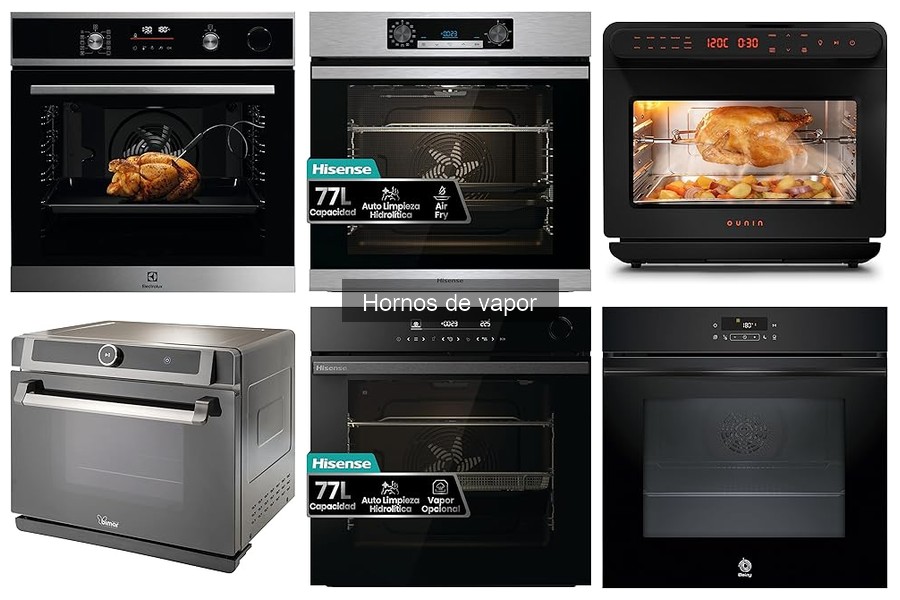 Alternativas al horno de vapor: opciones para cocinar al vapor