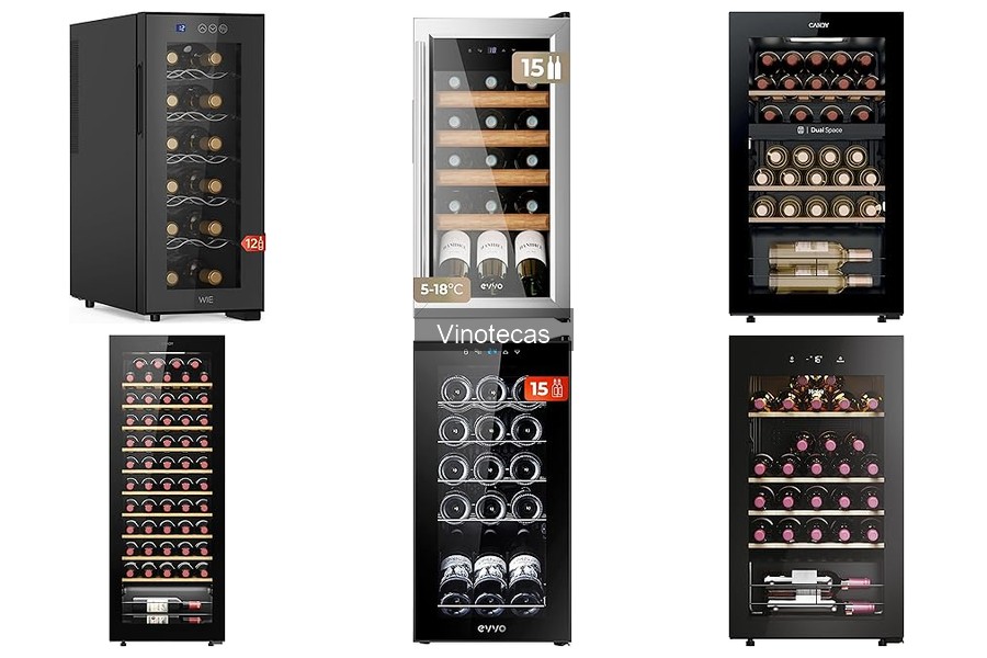 Cómo elegir la vinoteca perfecta para ti | Guía de compra