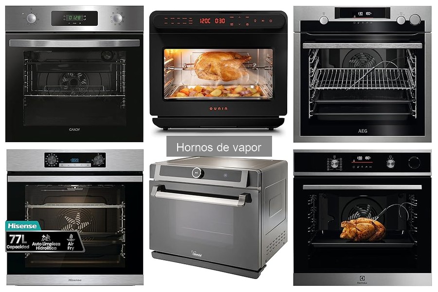 Cómo utilizar un horno de vapor: guía práctica y efectiva
