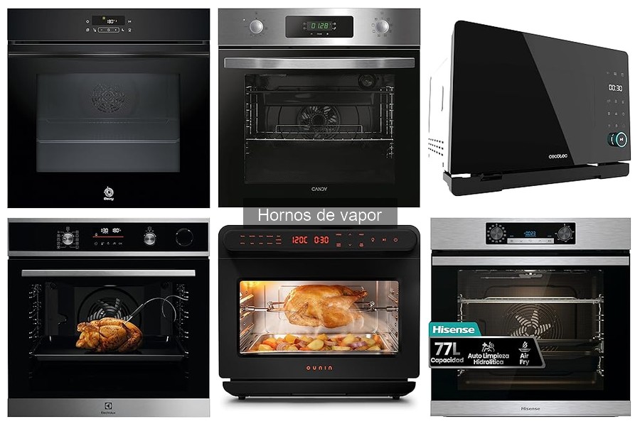 Dónde comprar un horno de vapor asequible y de calidad