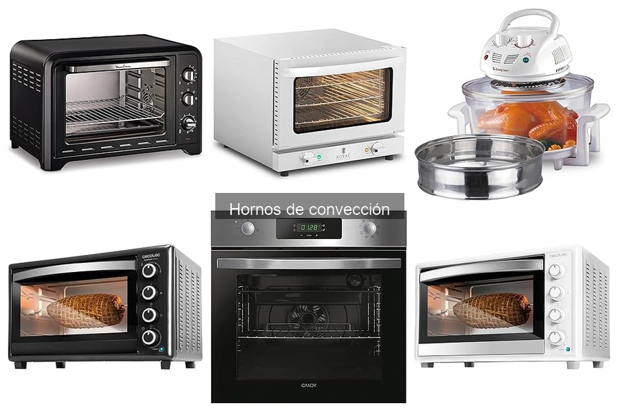 Efectos de la cocción en horno de convección sobre alimentos