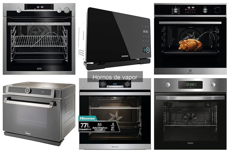 Innovaciones Recientes en Hornos de Vapor para Cocinar Mejor