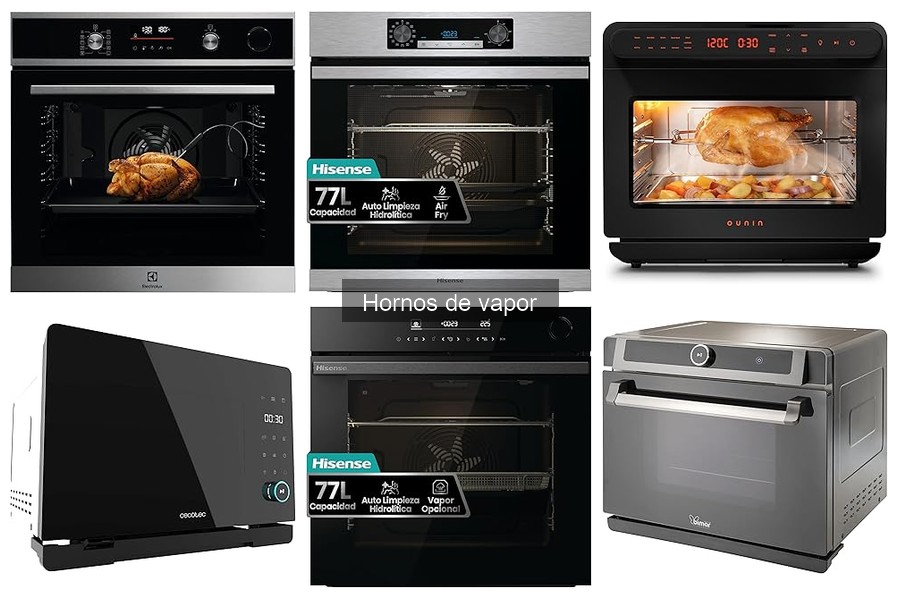 Mantenimiento y limpieza del horno de vapor: guía práctica