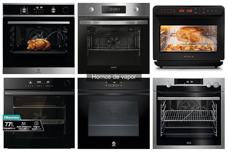 Mejores Hornos de Vapor: Guía para Elegir el Ideal