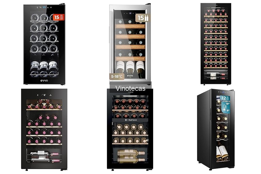 Mejores vinotecas para amantes del vino: comparativa 2023