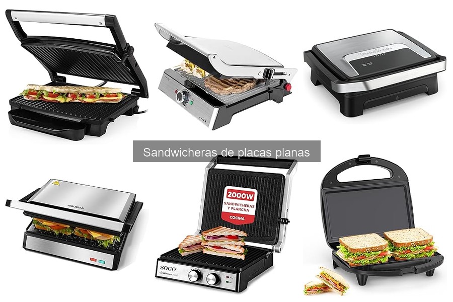 Problemas comunes con sandwicheras de placas planas y soluciones