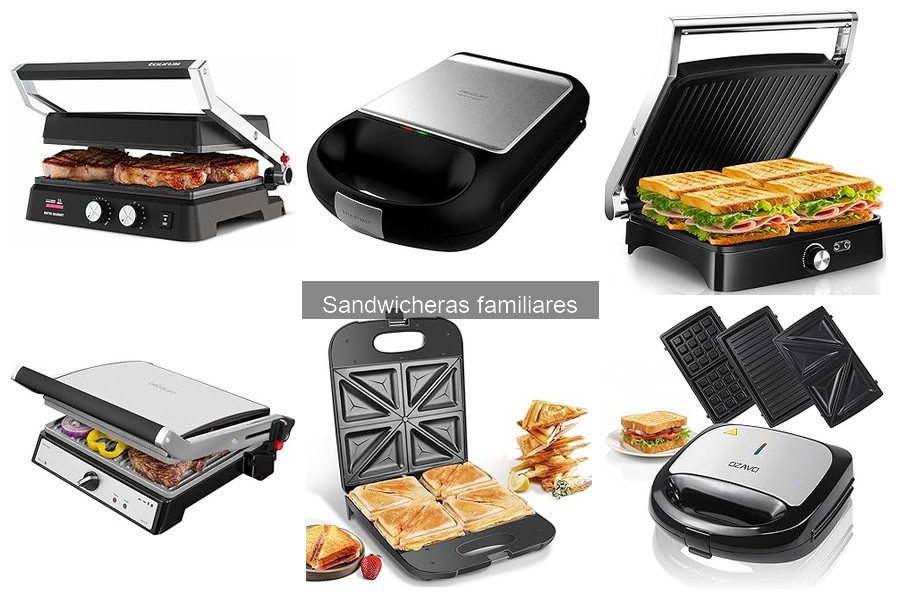 Problemas comunes en sandwicheras familiares y soluciones