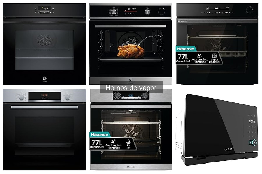 ¿Qué es un horno de vapor y cómo funciona? Guía completa