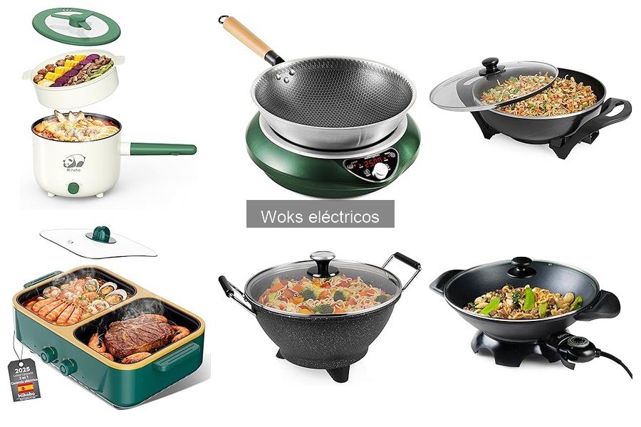 ¿Qué es un wok eléctrico? Características y Funcionalidades