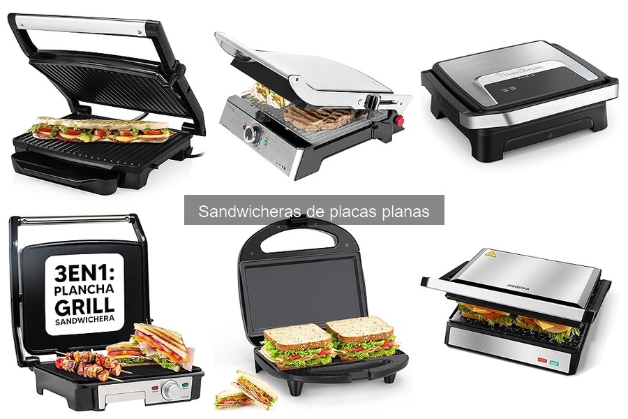 ¿Qué es una sandwichera de placas planas? Guía Completa