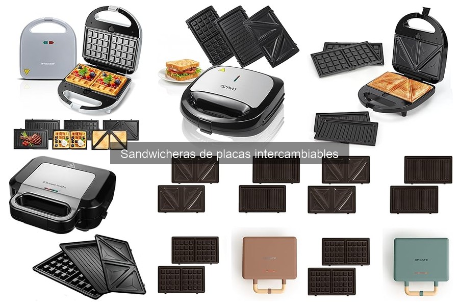 ¿Qué son las sandwicheras de placas intercambiables?