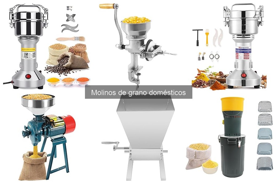 Recetas fáciles con harina molida en casa para disfrutar