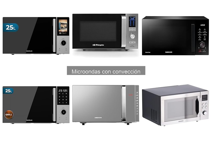 Recetas fáciles para microondas con convección