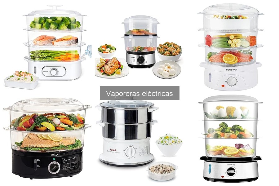 Recetas fáciles para vaporera eléctrica: Delicias al vapor