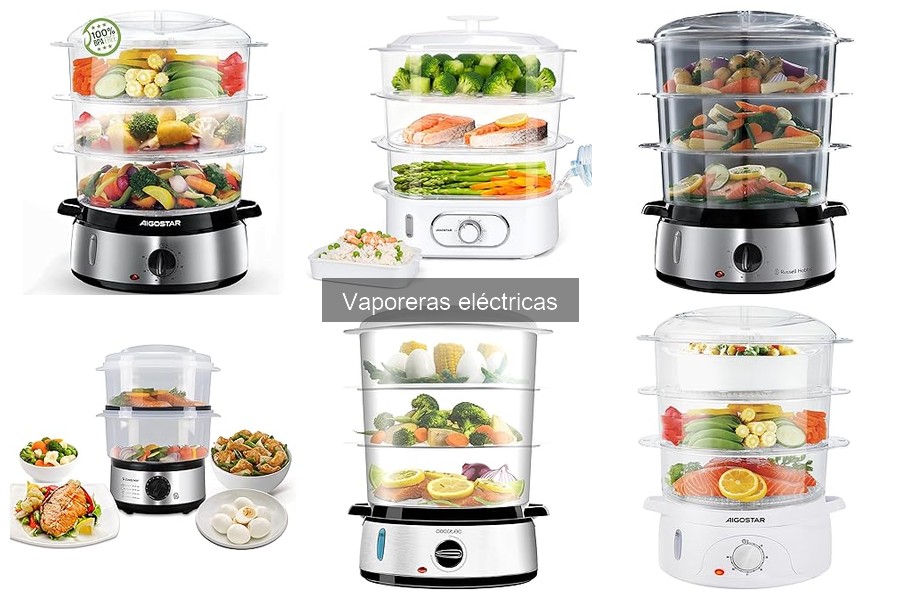 Tipos de vaporeras eléctricas: ¿cuál elegir para tu cocina?